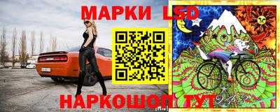 молекула духа Кулебаки