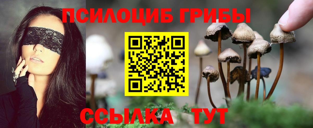 Шелехов  Псилоцибиновые грибы MAGIC MUSHROOMS  Вход с VPN 
